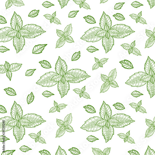 Basil leaves hand drawn background. Herbal engraved style illustration