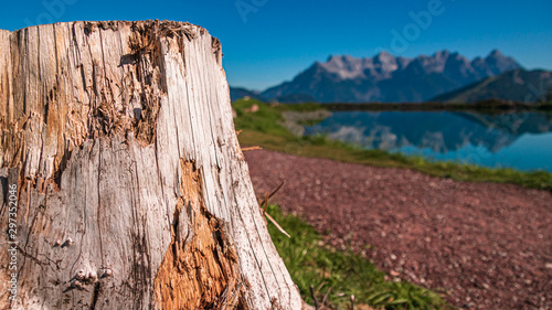 Beautiful alpine view with a tree stump and reflections in a lake at Fieberbrunn, Tyrol, Austria