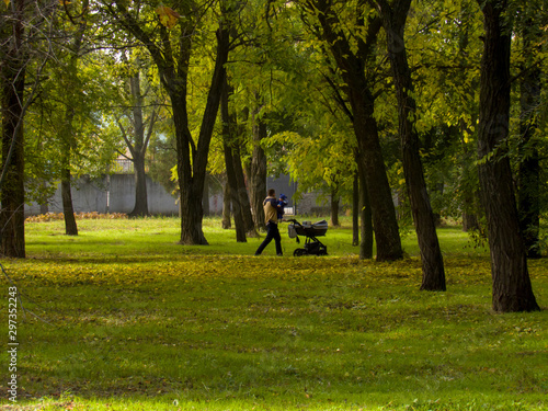 Father with a stroller walks in the park