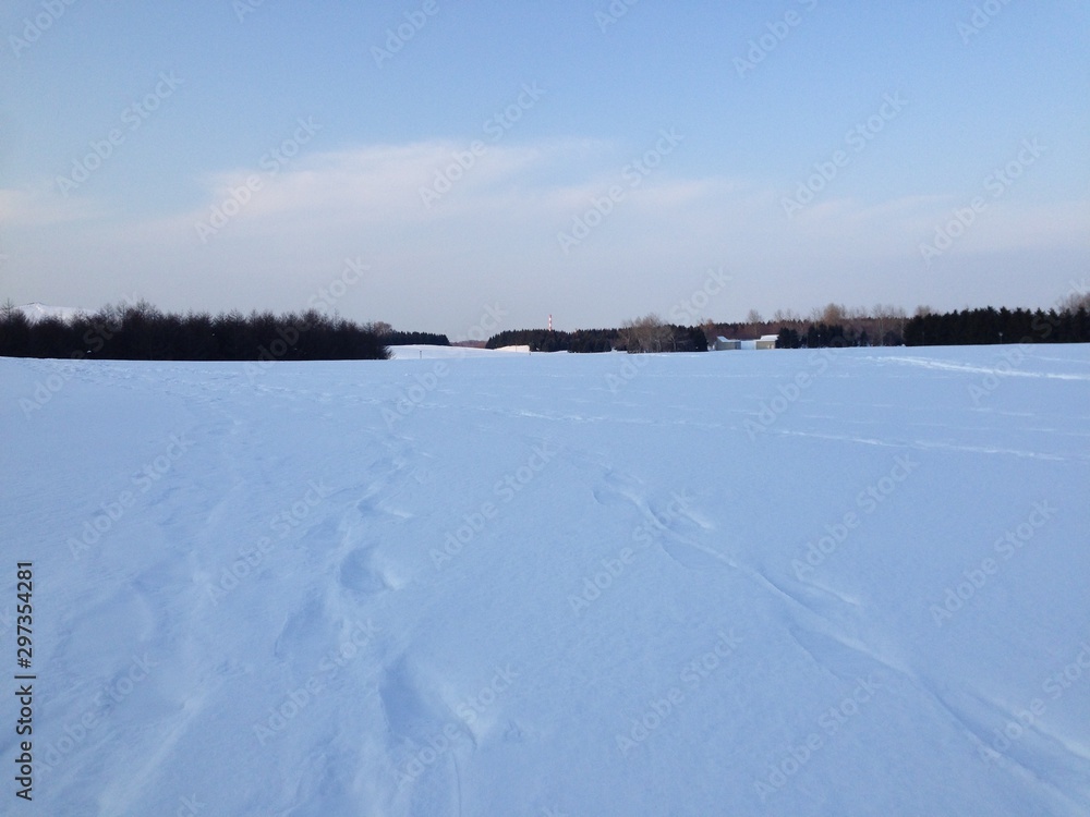 Winter Landscape with Footprint on Snow