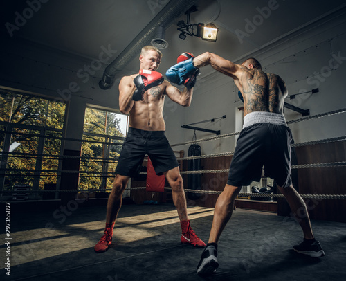 Couple of young boxers has a competition on the ring at fighting studio.