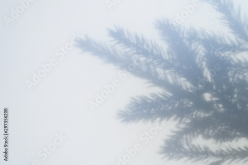 shadow from a christmas tree branch on a white-gray background of a textured surface of a wall or table. space for text