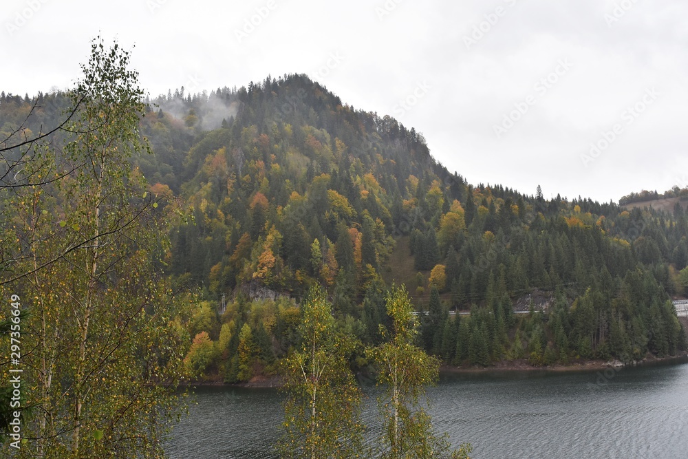 View of Colibita lake and fir forest on a cloudy autumn day, in Carpathian mountains in Romania, Transylvania, Bistrita Nasaud county.