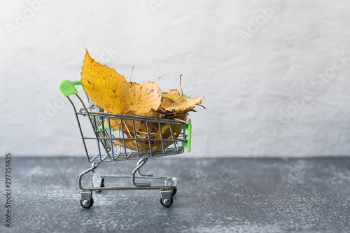 Green small toy shopping cart with birch leaves on a concrete wall background. Autumn Concept.