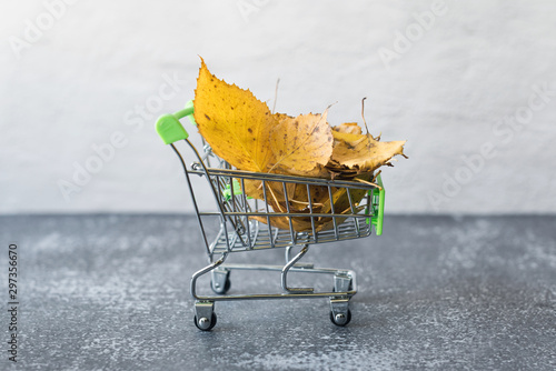 Green small toy shopping cart with birch leaves on a concrete wall background. Autumn Concept.