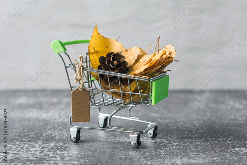 Green small toy shopping cart with birch leaves, cone on a concrete wall background. Price label note with rope for text. Autumn Concept.