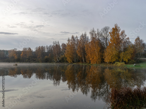 early autumn morning, white mist over water and ground, beautifully colored and blurred tree silhouettes in the background