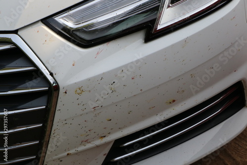 Insects crashed on the front bumper of the car while driving at high speed.