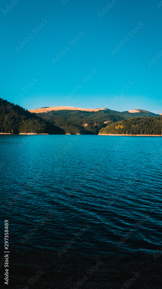 Island in the lake