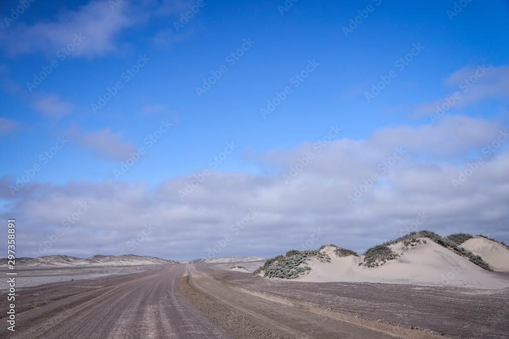 Piste désertique de la Skeleton Coast en Namibie - Afrique Piste désertique de la Skeleton Coast en Namibie - Afrique