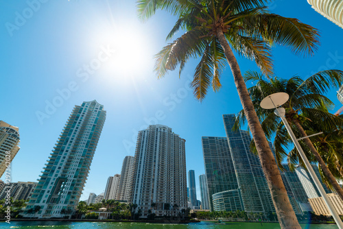 Skyscrapers in Miami Riverwalk on a sunny day © Gabriele Maltinti