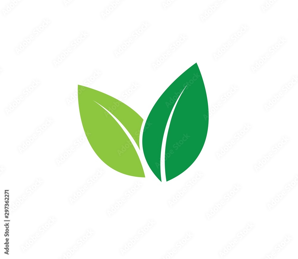 green leaves vector icon design on white background.