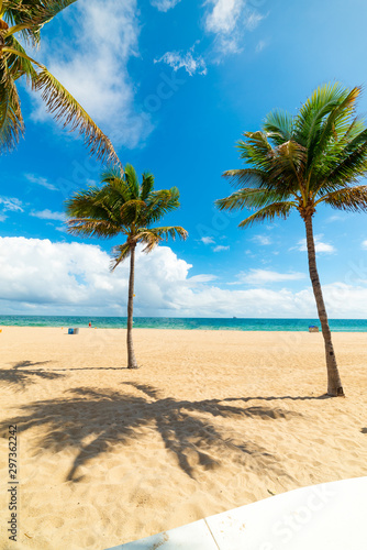 White sand and palm trees in Fort Lauderdale on a sunny day