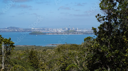 Rangitoto Island (Scenic Reserve) nearby Auckland, in New Zealand