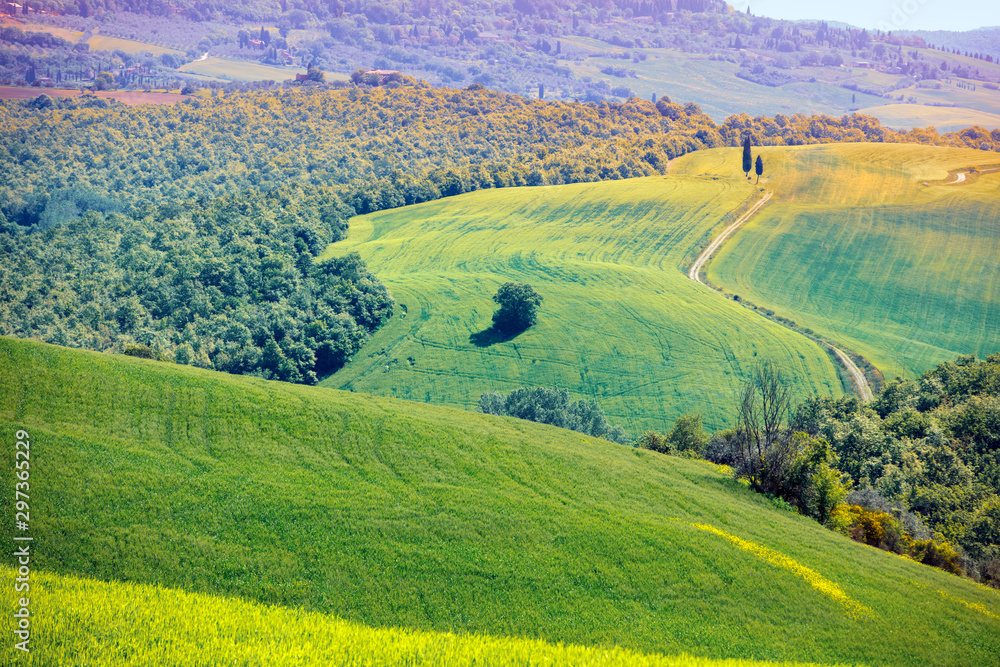 View from above of sunny fields and olive groves on rolling hills in Tuscany, Italy