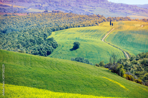 View from above of sunny fields and olive groves on rolling hills in Tuscany, Italy