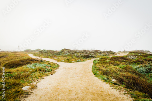 View of pathway splitting into two
