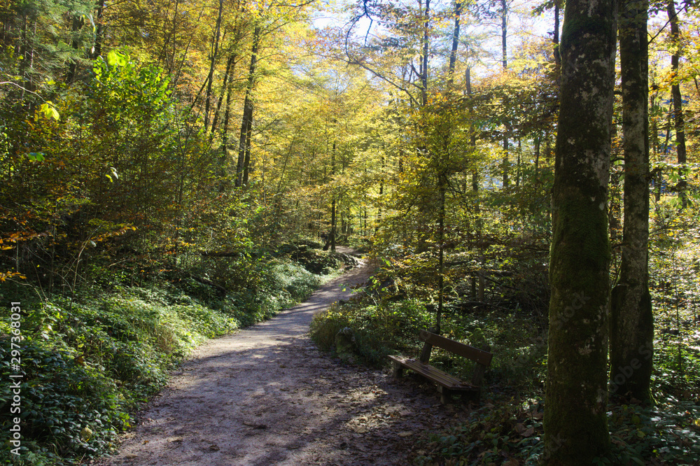 Fototapeta premium Beautiful königsee in autumn in Berchtesgadener Land Germany