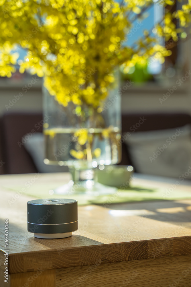 Smart ai speaker. Smart home concept