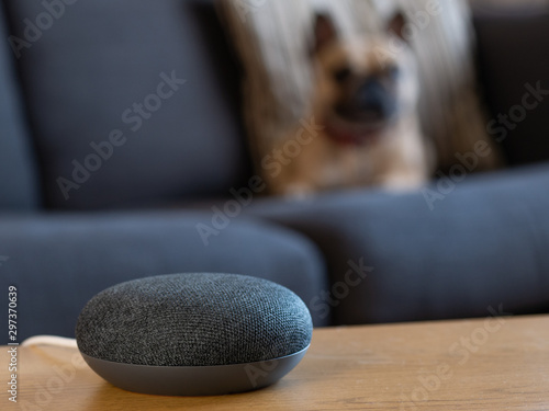 smart home voice activated speaker with pet in living room lounge