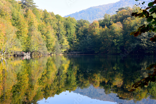 beautiful reflection on Yedigoller lake in Turkey