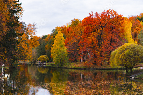 autumn in the park