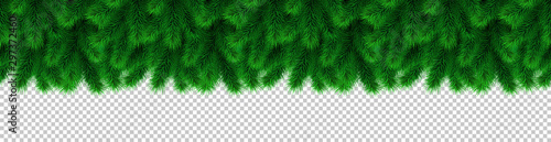 Christmas garland and decoration from fir branches. Seamless vector xmas border isolated on transparent background. For Christmas, noel, navidad holiday banner, web site header, decor.