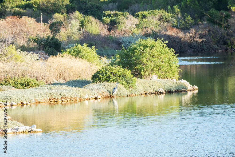 Etang de la réserve ornithologique sur l'île Sainte Marguerite, Iles de