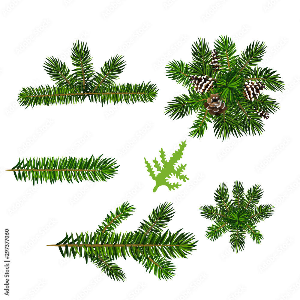 Obraz premium set vector branches in different position