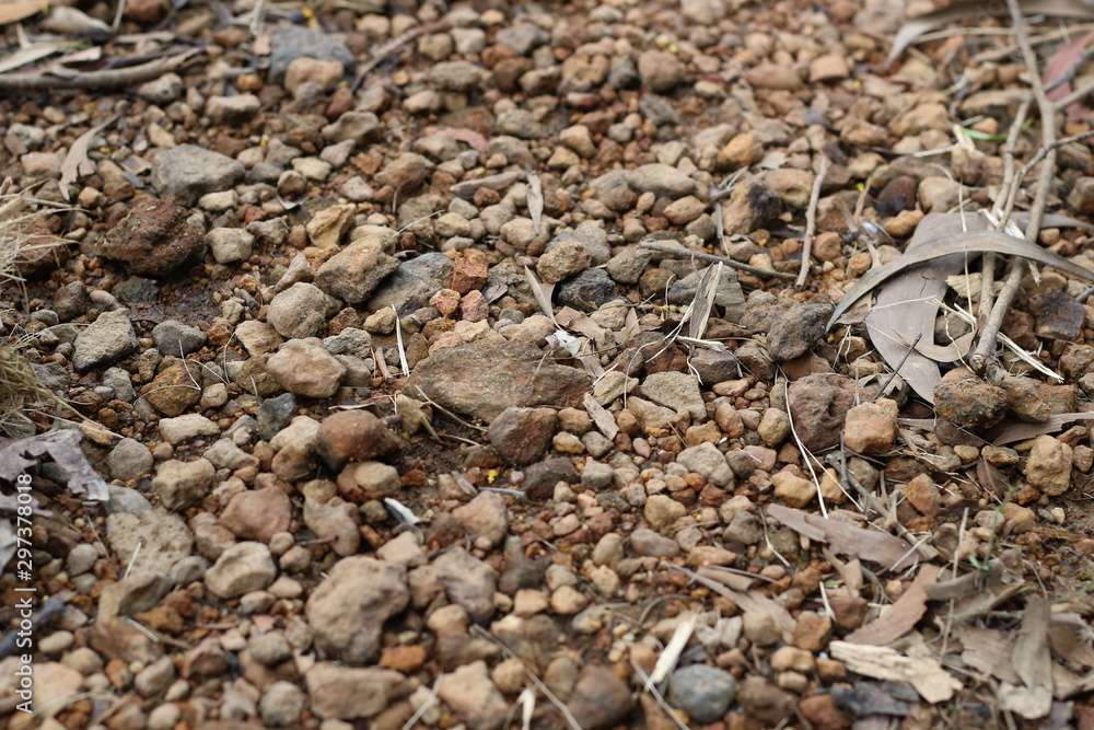 Stones on the riverbed Stones on the riverbed