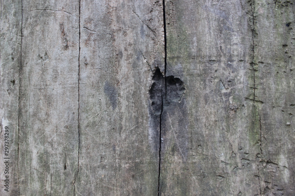 Fototapeta premium background