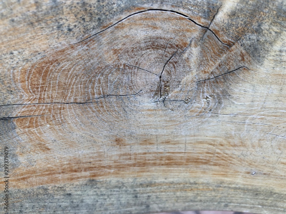 old aged light wood grain texture background Stock Photo | Adobe Stock