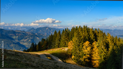 Autumn colored trees at the mountain "Mugel" in Styria, Austria