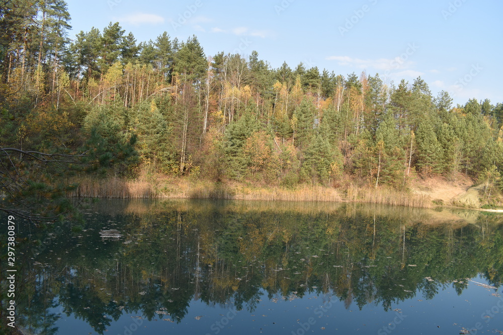 reflection of trees in water