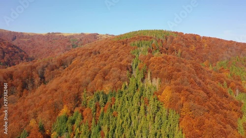 Drone flying above treetops on Mount Gretna, PA, in late summer, early autumn, trees in autumn colors, fall foliage photo