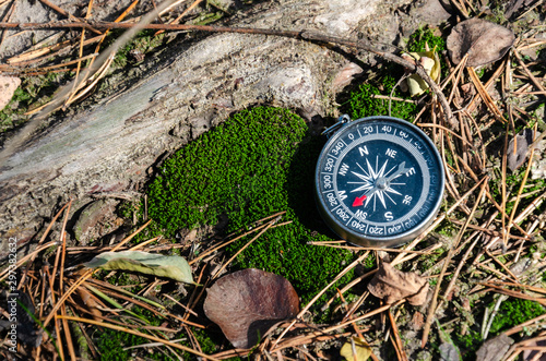 Obraz na płótnie The concept of survival and orienteering in the forest. Compass on mossy ground. Daytime on sunny day. Close-up w salonie