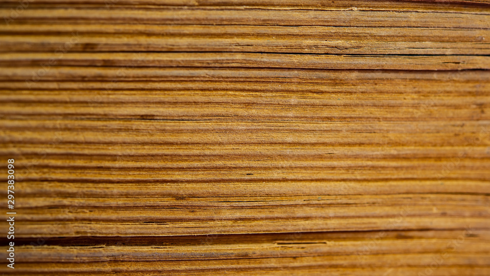 pages of an old book on a lilac background. pages of an old book on a lilac background.
