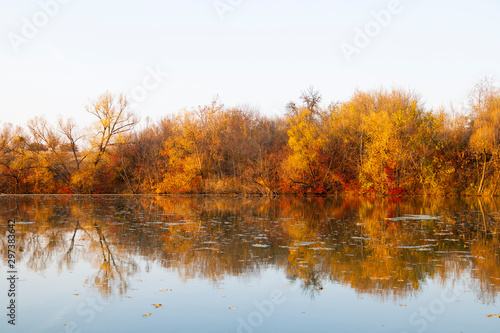 Fototapeta Naklejka Na Ścianę i Meble -  sunny autumn day with yellow trees. Lake with trees. Place under the text. Autumn forest at headquarters, lake, river.