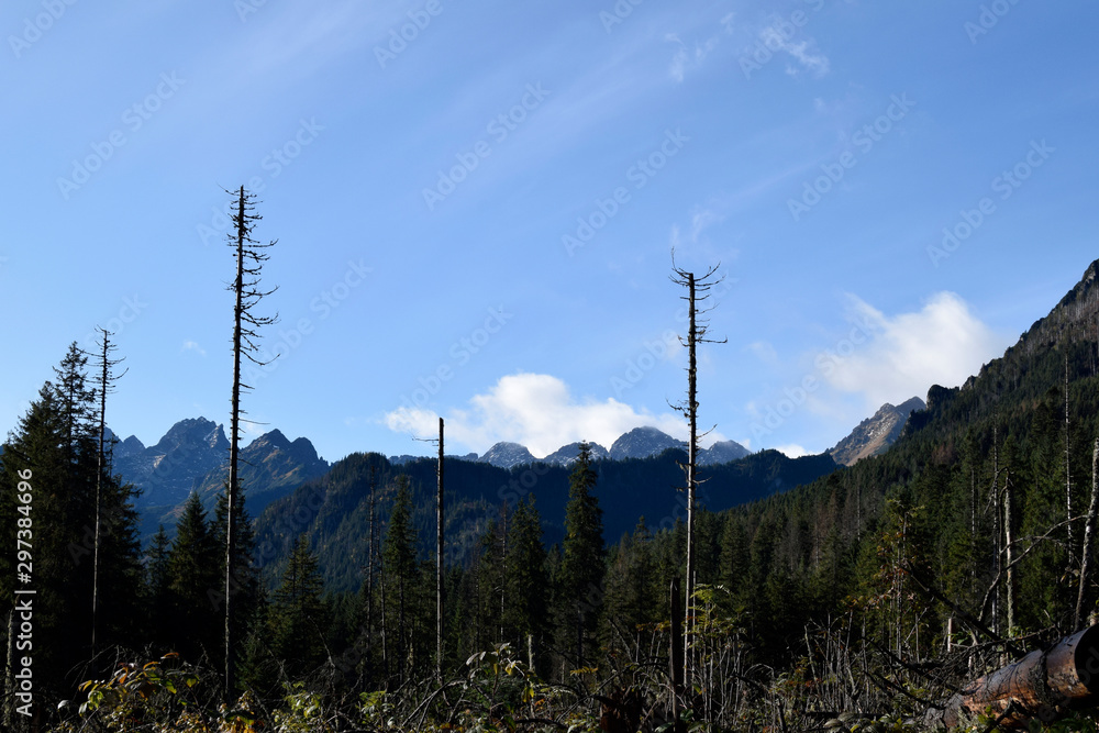 Natural mountain landscape. Territory of Poland. Tatra mountains. Wonderful autumn day. Blue sky and green fir-trees. Natural mountain landscape. Territory of Poland. Tatra mountains. Wonderful autumn day. Blue sky and green fir-trees.