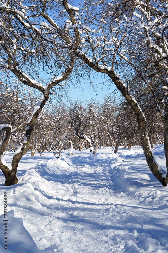 Beautiful winter landscape with snow covered trees Beautiful winter landscape with snow covered trees