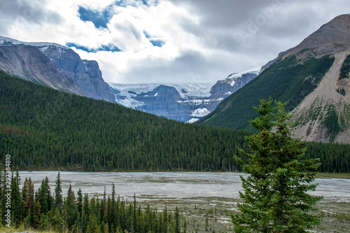 Icefield Parkway 8