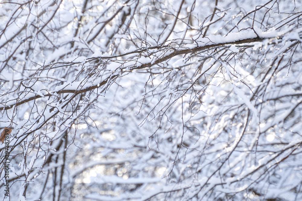 Beautiful winter landscape with snow covered trees Beautiful winter landscape with snow covered trees
