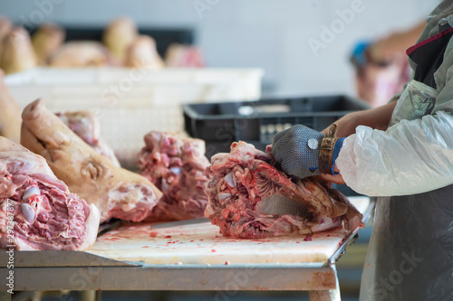 Slaughterhouse. Hands of the workers of the meat shop at work. Butcher cuts pork carcasses with a knife