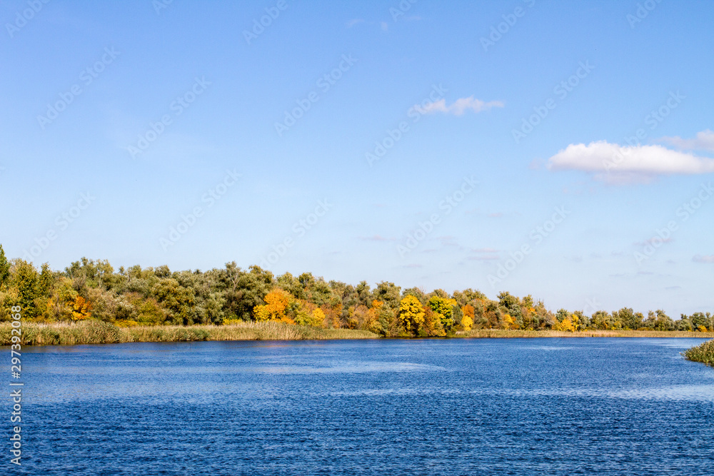 landscape yellow trees on the banks of a large river landscape yellow trees on the banks of a large river