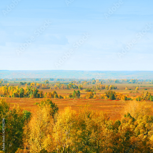 Autumn sunny day  beautiful landscape  pasture  aerial view  horizon