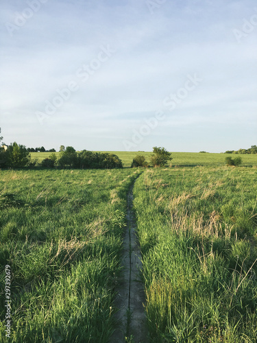 Pathway through grass field