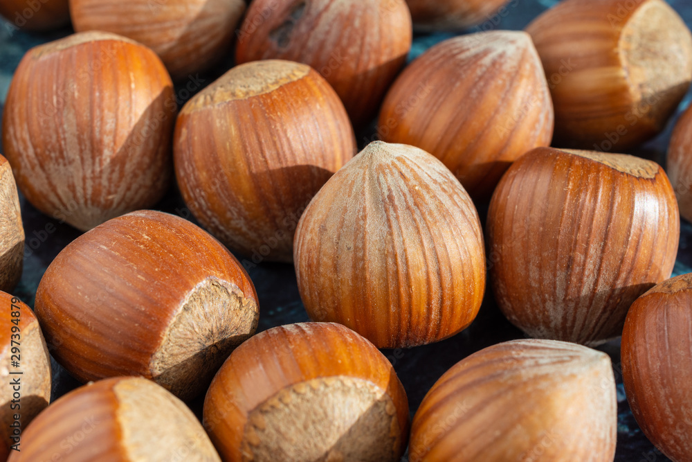 Macro close-up of a group of hazelnuts illuminated horizontally Macro close-up of a group of hazelnuts illuminated horizontally