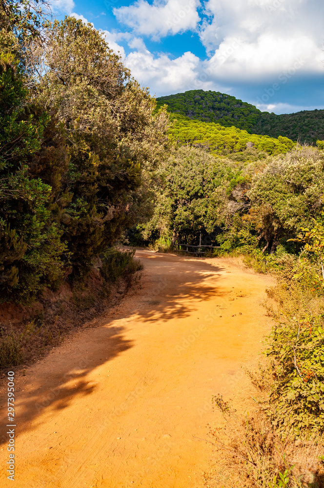 Scenic walking paths in the forest near the Cala Violina sand beach in province of Grosseto in Tuscany