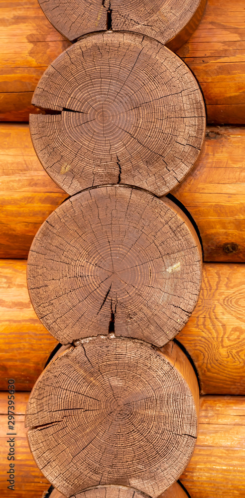 rough wooden timber butt background , brown and orange log end texture , beam walls close up for building design rough wooden timber butt background , brown and orange log end texture , beam walls close up for building design