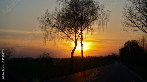 Sonnenuntergang hinter Bäumen